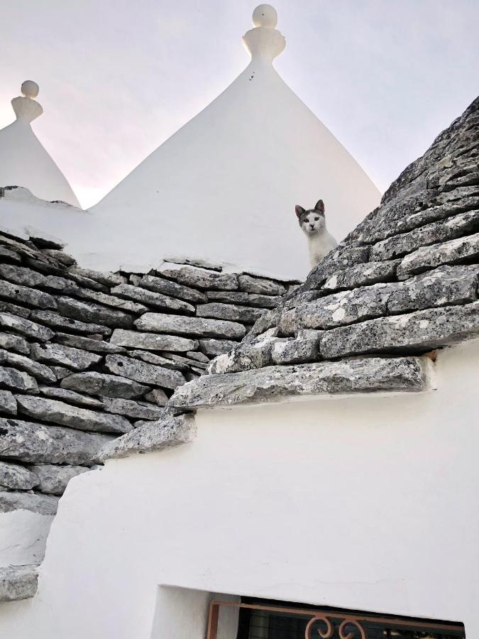 Trullo Panna Fragola - Exclusive Four Bedroom Villa & Private Pool مارتينا فرانكا المظهر الخارجي الصورة