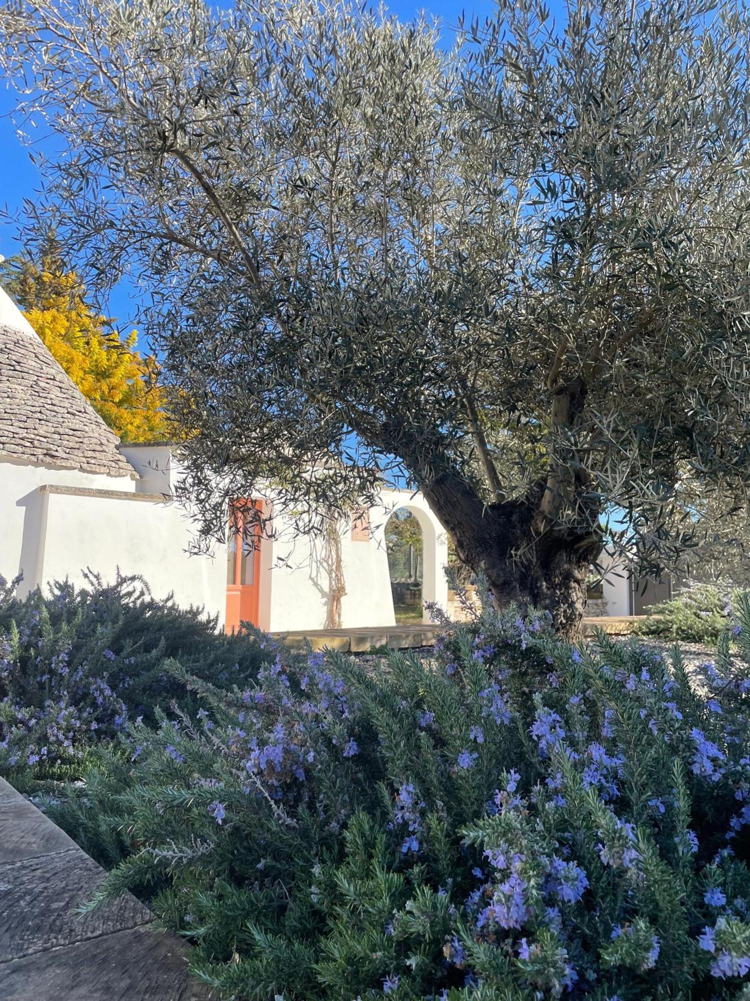 Trullo Panna Fragola - Exclusive Four Bedroom Villa & Private Pool مارتينا فرانكا المظهر الخارجي الصورة